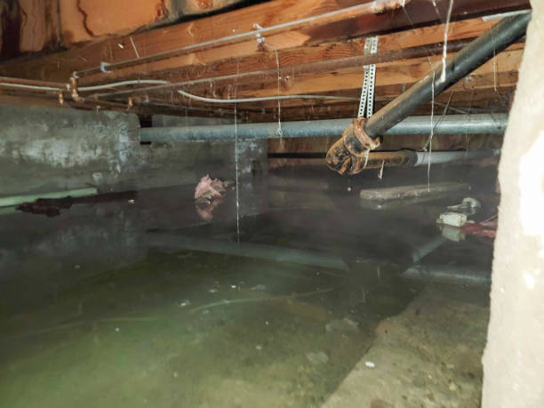 Best Emergency water damage restoration  in Athens, PA