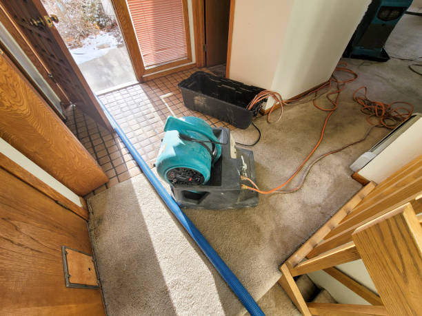 Best Basement water damage restoration  in Athens, PA