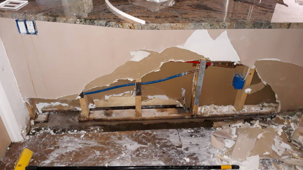 Best Water damage cleanup near me  in Athens, PA