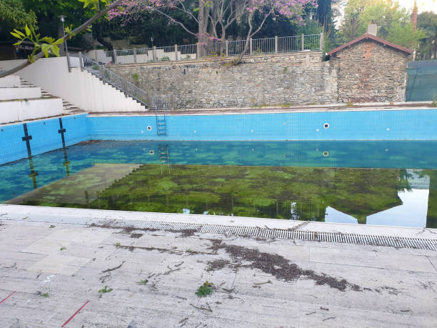 Best Flood restoration services  in Athens, PA