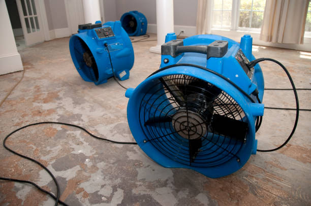 Best Flooded house restoration  in Athens, PA