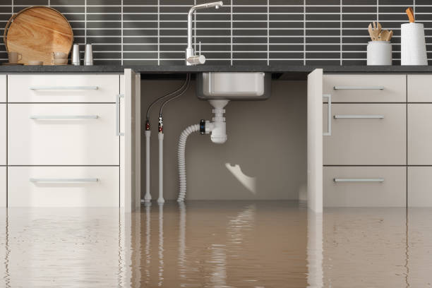 Best Water damage contractors near me  in Athens, PA