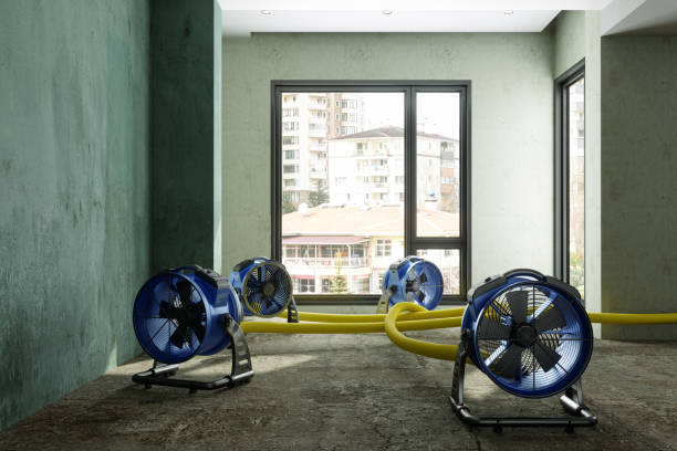 Best Residential water damage restoration  in Athens, PA